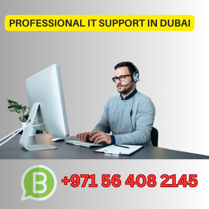 Professional IT Support